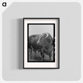 アートポスター-Bull's Head, Cruzen Ranch
 - ラッセル リー Poster.