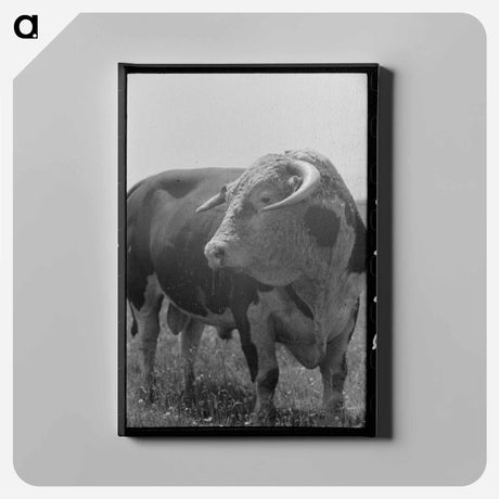 アートパネル-Bull's Head, Cruzen Ranch
 - ラッセル リー Canvas.