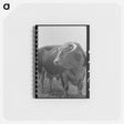 アートメモ帳-Bull's Head, Cruzen Ranch
 - ラッセル リー Memo.