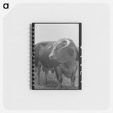 アートメモ帳-Bull's Head, Cruzen Ranch
 - ラッセル リー Memo.