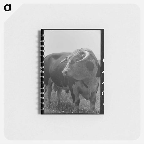 アートメモ帳-Bull's Head, Cruzen Ranch
 - ラッセル リー Memo.