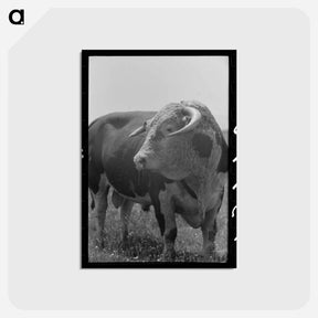 アートポストカード-Bull's Head, Cruzen Ranch
 - ラッセル リー Postcard.