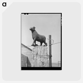 アートポストカード-Weather Vane, Sheridan County
 - ラッセル リー Postcard.