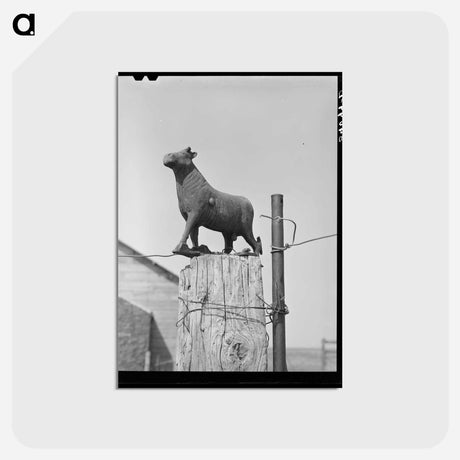 アートポストカード-Weather Vane, Sheridan County
 - ラッセル リー Postcard.