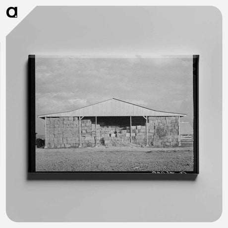 アートパネル-Mineral King Hay Barns
 - ラッセル リー Canvas.