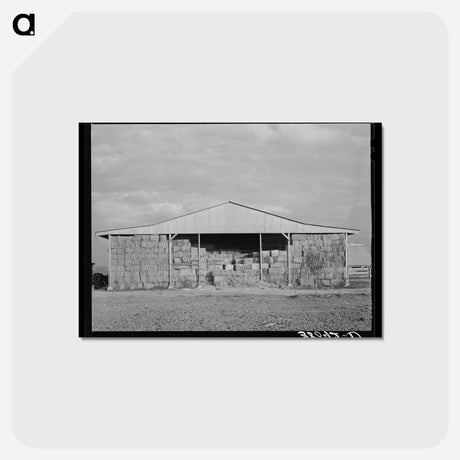 アートポストカード-Mineral King Hay Barns
 - ラッセル リー Postcard.