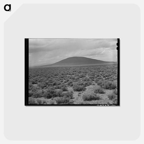 アートポストカード-Sagebrush Country, Costilla
 - ラッセル リー Postcard.