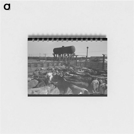 アートメモ帳-Cattle Corral, Brawley
 - ラッセル リー Memo.