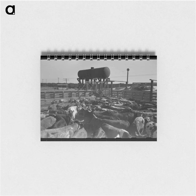 アートメモ帳-Cattle Corral, Brawley
 - ラッセル リー Memo.