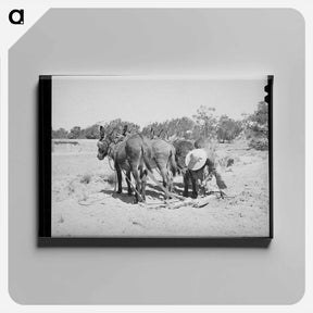 アートパネル-Mr. Leatherman's Burros
 - ラッセル リー Canvas.