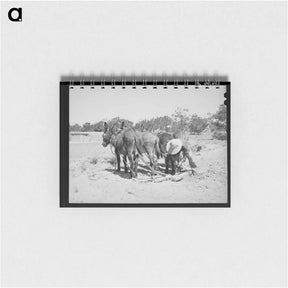 アートメモ帳-Mr. Leatherman's Burros
 - ラッセル リー Memo.