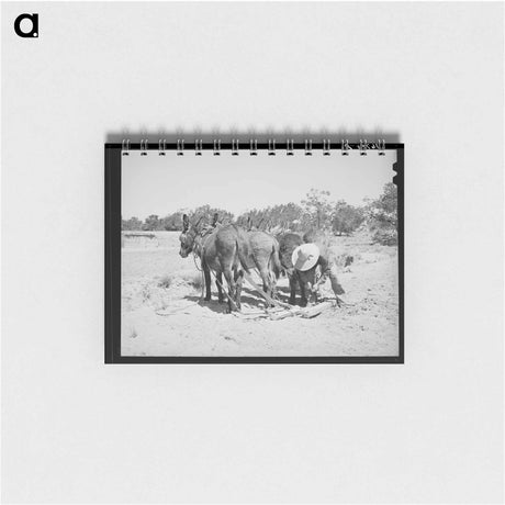 アートメモ帳-Mr. Leatherman's Burros
 - ラッセル リー Memo.