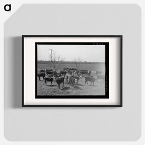 アートポスター-Cattle at Feeding Trough
 - ラッセル リー Poster.