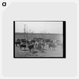 アートポストカード-Cattle at Feeding Trough
 - ラッセル リー Postcard.