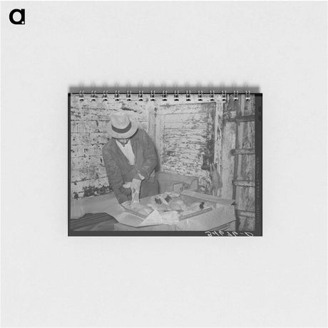 アートメモ帳-Packing Turkeys
 - ラッセル リー Memo.