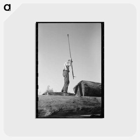 アートポストカード-Scaler, Tillamook, Oregon
 - ラッセル リー Postcard.
