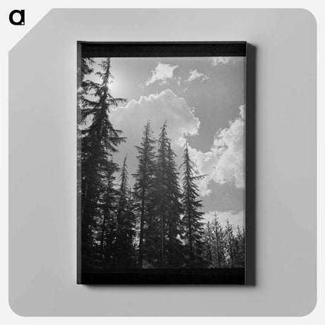 アートパネル-Klamath County Trees and Clouds
 - ラッセル リー Canvas.