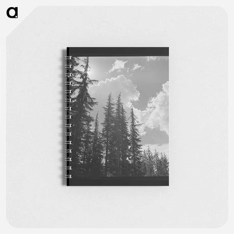 アートメモ帳-Klamath County Trees and Clouds
 - ラッセル リー Memo.