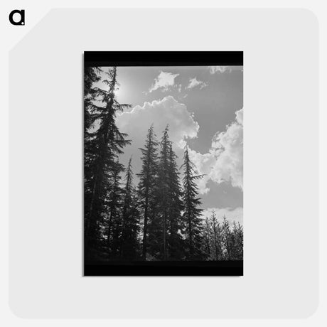 アートポストカード-Klamath County Trees and Clouds
 - ラッセル リー Postcard.