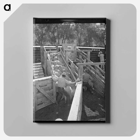 アートパネル-Loading Fat Lambs
 - ラッセル リー Canvas.