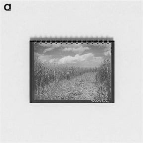 アートメモ帳-Cornfield, Concho, Arizona
 - ラッセル リー Memo.