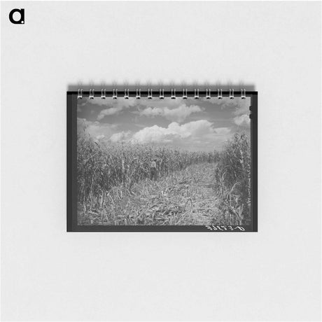 アートメモ帳-Cornfield, Concho, Arizona
 - ラッセル リー Memo.