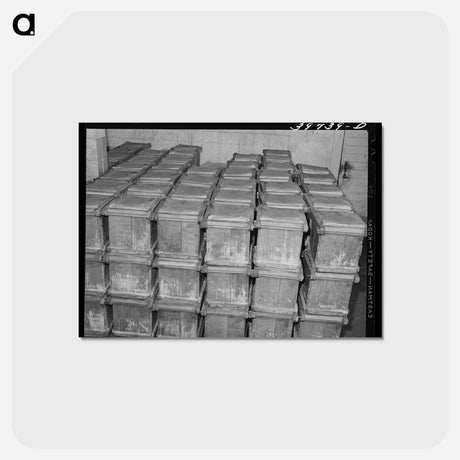 アートポストカード-Butter Tubs
 - ラッセル リー Postcard.