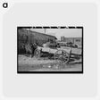 アートポストカード-Wagons and Mules, Eufaula
 - ラッセル リー Postcard.