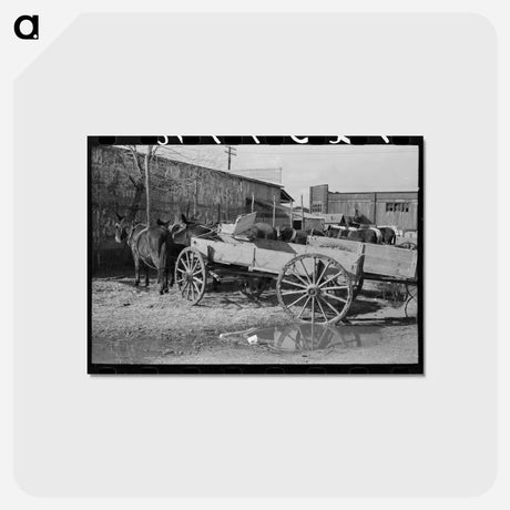 アートポストカード-Wagons and Mules, Eufaula
 - ラッセル リー Postcard.