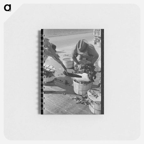 アートメモ帳-Spinach Harvest, La Pryor, Texas
 - ラッセル リー Memo.