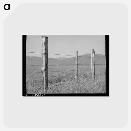 アートポストカード-Fence on Cruzen Ranch
 - ラッセル リー Postcard.