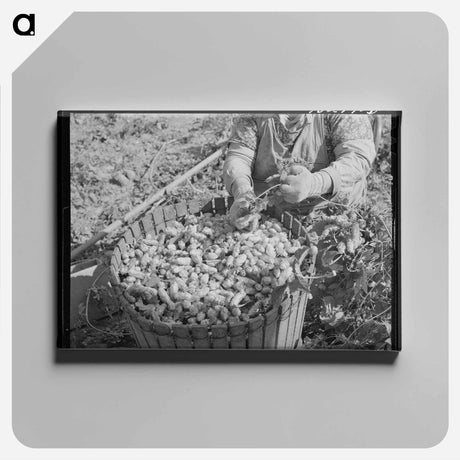 アートパネル-Hop Picker and Basket
 - ラッセル リー Canvas.