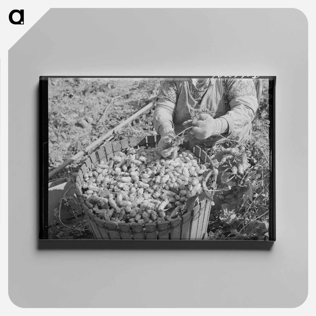 アートパネル-Hop Picker and Basket
 - ラッセル リー Canvas.
