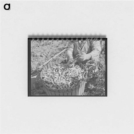 アートメモ帳-Hop Picker and Basket
 - ラッセル リー Memo.