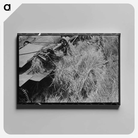 アートパネル-Cutting Rice With Binder
 - ラッセル リー Canvas.