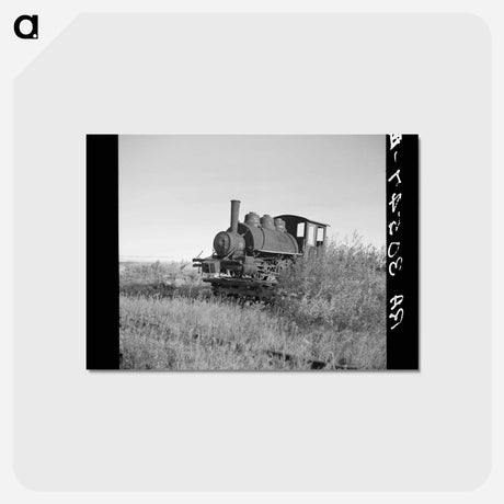 アートポストカード-Abandoned Locomotive at Old Sawmill
 - ラッセル リー Postcard.
