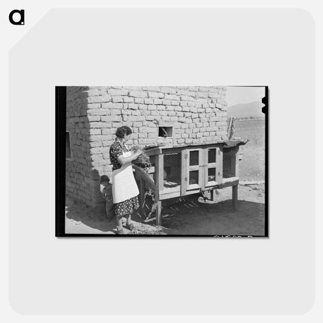 アートポストカード-FSA Client Feeding Rabbits
 - ラッセル リー Postcard.