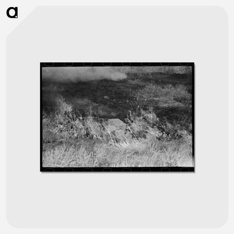 アートポストカード-Grass Fire, Vale, Oregon
 - ラッセル リー Postcard.