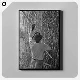 アートパネル-Sugarcane Harvest
 - ラッセル リー Canvas.