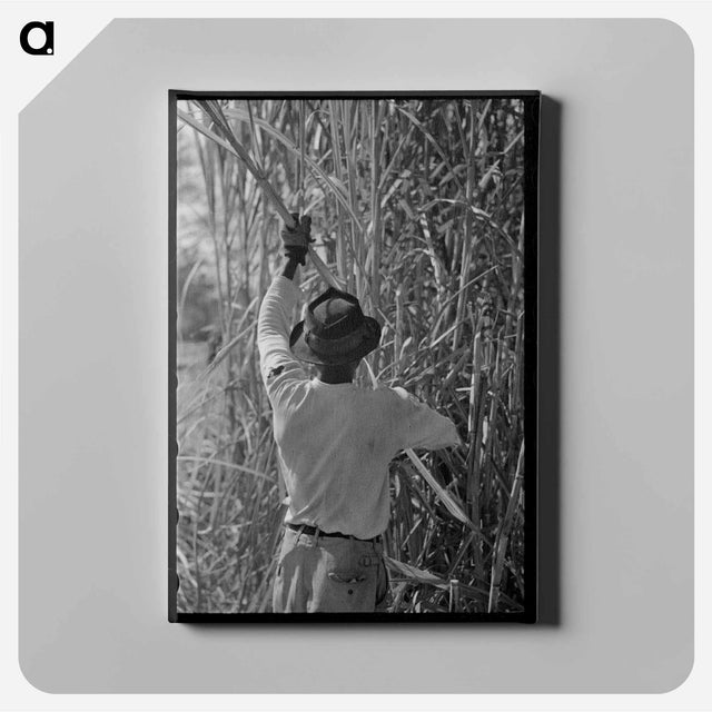 アートパネル-Sugarcane Harvest
 - ラッセル リー Canvas.