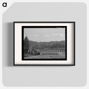 アートポスター-Willamette Valley Orchards
 - ラッセル リー Poster.