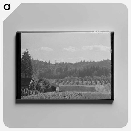 アートパネル-Willamette Valley Orchards
 - ラッセル リー Canvas.