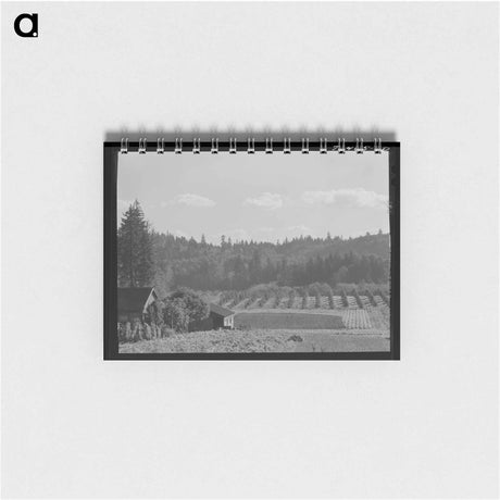 アートメモ帳-Willamette Valley Orchards
 - ラッセル リー Memo.