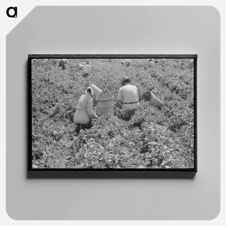 アートパネル-Pea Field Labor
 - ラッセル リー Canvas.