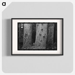 アートポスター-Long Bell Lumber Tree Trunks
 - ラッセル リー Poster.