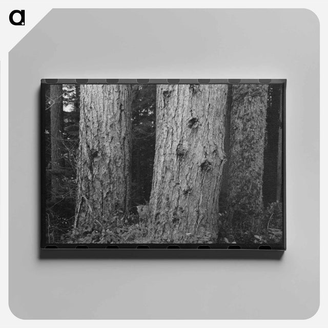 アートパネル-Long Bell Lumber Tree Trunks
 - ラッセル リー Canvas.