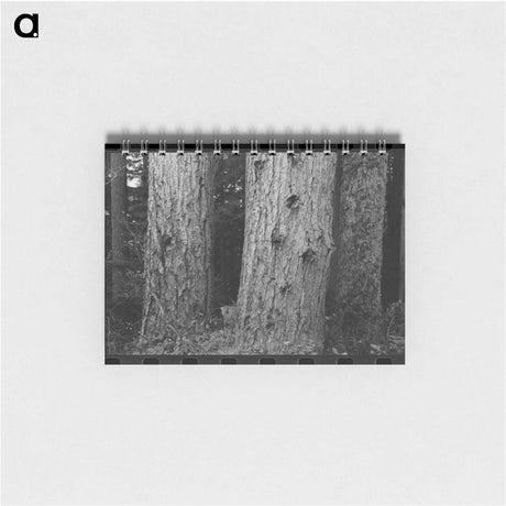 アートメモ帳-Long Bell Lumber Tree Trunks
 - ラッセル リー Memo.