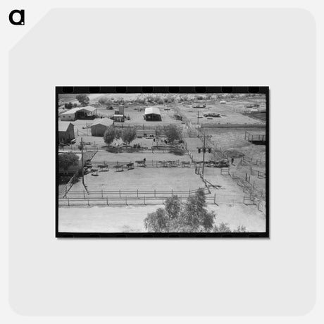 アートポストカード-Casa Grande Valley Dairy
 - ラッセル リー Postcard.