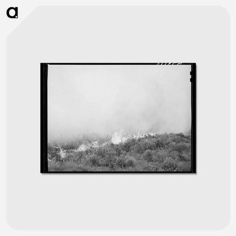 アートポストカード-Grass Fire in Canyon County
 - ラッセル リー Postcard.