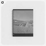 アートメモ帳-Oats, Park County, Montana
 - ラッセル リー Memo.